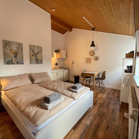Apartment Kleiner Muenz Κόμπλεντς Εξωτερικό φωτογραφία